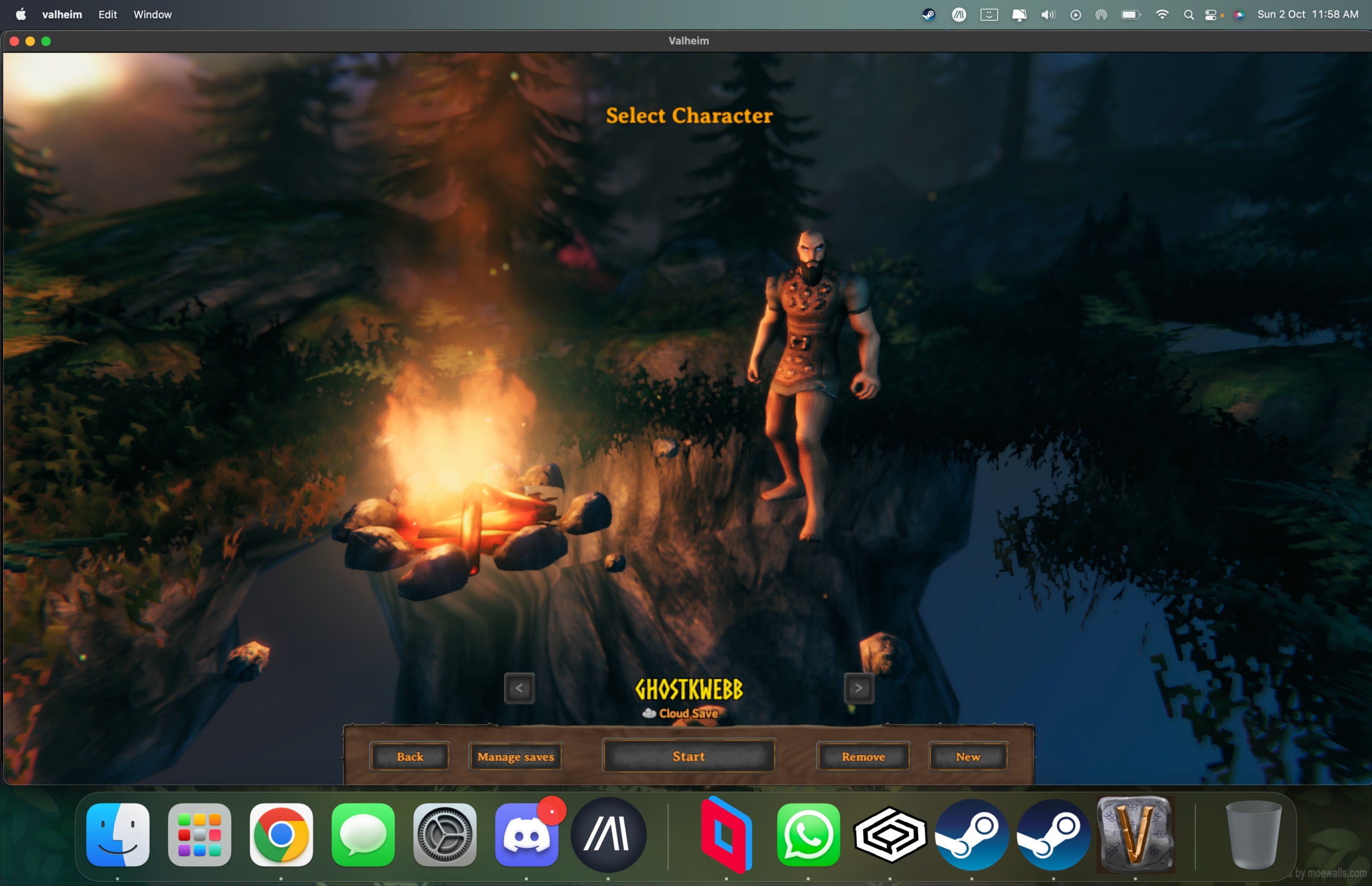 Media for Valheim | CodeWeavers