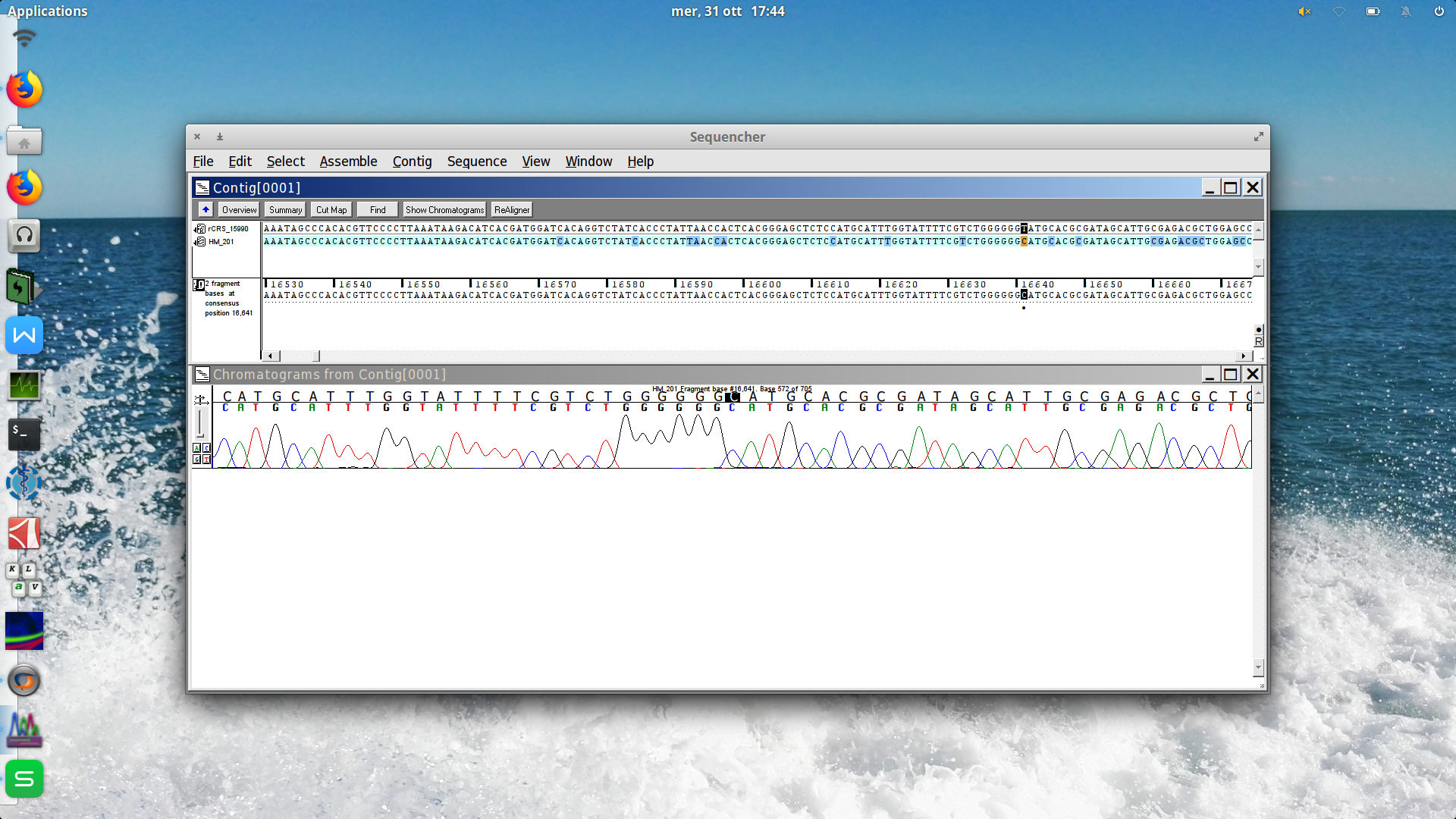 chromatogram viewer sequencher