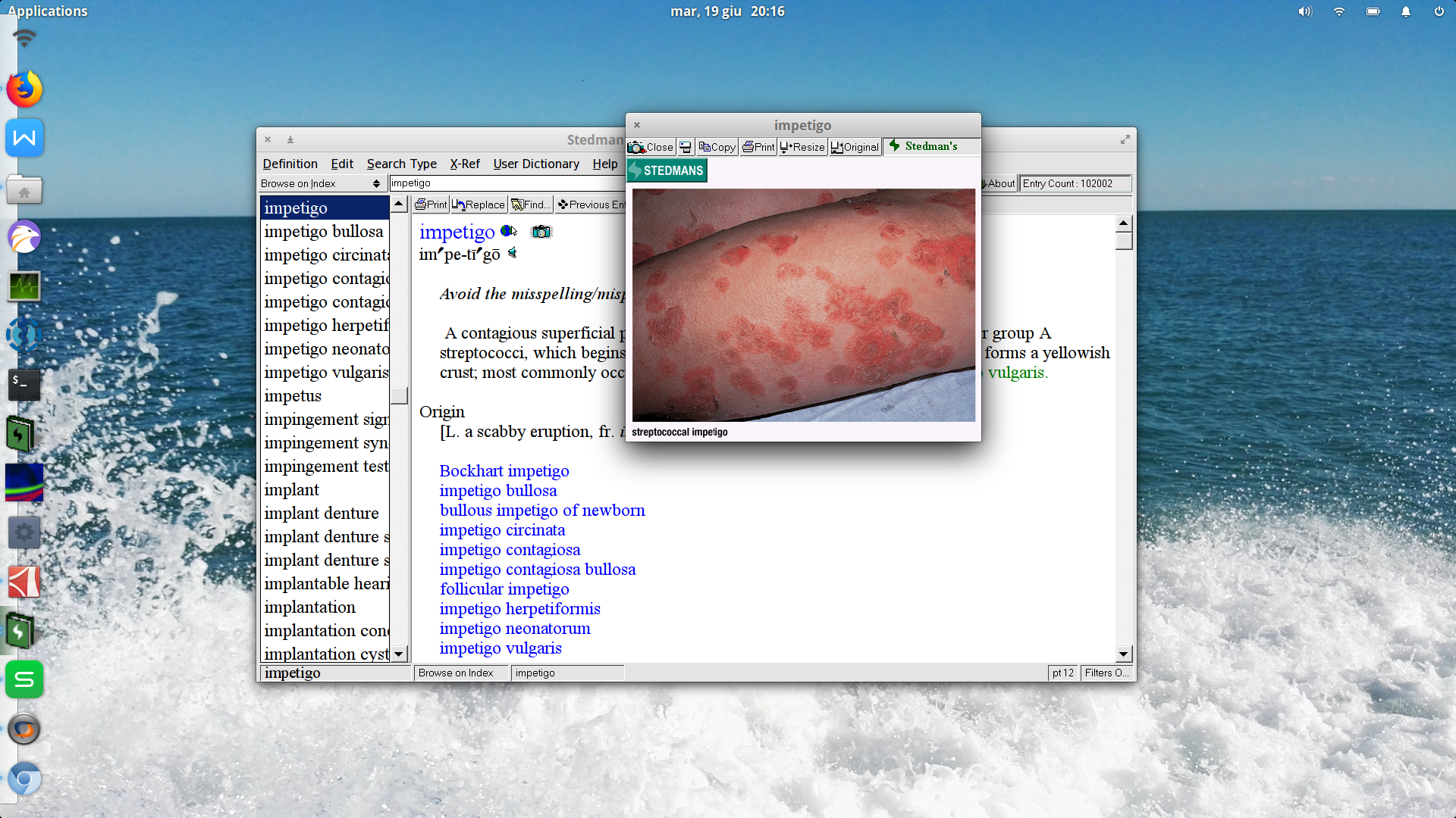 Stedman's Electronic Medical Dictionary Compatibility Database
