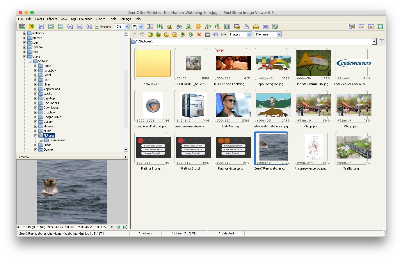 for mac download FastStone Image Viewer 7.8