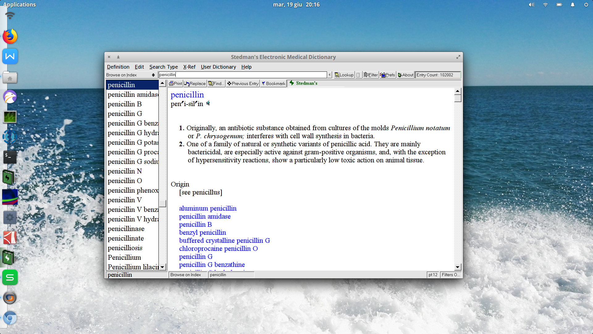 Media for Stedman's Electronic Medical Dictionary CodeWeavers