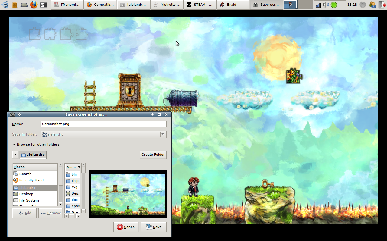Will Braid run on Mac or Linux? | CodeWeavers