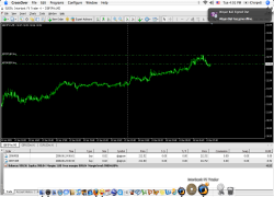 metaeditor metatrader mac